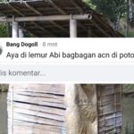 Warga Girimukti Masih Gunakan Bagbagan?, Sorotan Muncul di Media Sosial