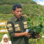 Hutan Gundul Picu Longsor dan Banjir, Kolaborasi Hijau Garut Tanam Ribuan Pohon Keras