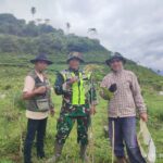 Awal Tahun, Rawat Kehidupan: Kolaborasi Hijau ke-54 Kembali Menyapa Gunung Congkrang