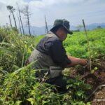 Kolaborasi Hijau Garut Bersama Lintas Komunitas Recovery Lahan Eks PMDK di Blok Jengkot 3