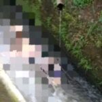 Wanita Ditemukan Tewas Mengambang di Sungai, Diduga Terjatuh Saat Kejang