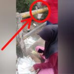 FKPDAS Wilayah Singajaya Soroti Warga Buang Sampah Sembarangan ke Sungai Ciudian