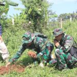 Tanam Pohon Cengkeh, Satgas TMMD ke-128 Kodim 0611/Garut Laksanakan Program Unggulan KASAD Bidang Penghijauan