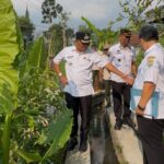 Pemkab Tasikmalaya Tata Aset Daerah, Lahan Sawah di Sekitar Kantor Bupati Akan Dikelola Lebih Teratur