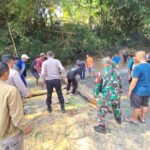 Pohon Tumbang Sempat Lumpuhkan Jalur Bandung–Garut di Kersamanah, Polisi Bergerak Cepat Lakukan Evakuasi