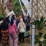 Baru Diresmikan Bupati, Jembatan Pongpet Pangandaran Ambruk, Video Amatir Viral