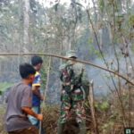 Koramil Cibatu Padamkan Karhutla di Lahan Perkebunan Warga, Luas Terbakar Sekitar 1 Hektare