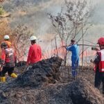 Kebakaran Lahan Kebun di Desa Margaluyu Leles Berhasil Dipadamkan Dalam Waktu Singkat
