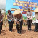 Bukan Halangan! Polres Tasikmalaya Tanam Jagung Serentak Saat Musim Kemarau